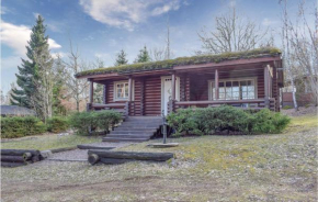 Nice Home In Högsby With Kitchen in Högsby
